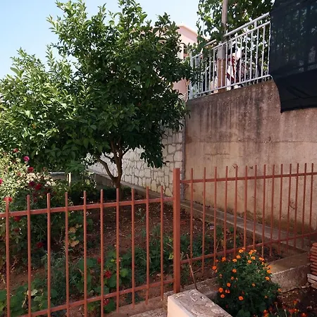 Mastrinka 4648c * تروغير